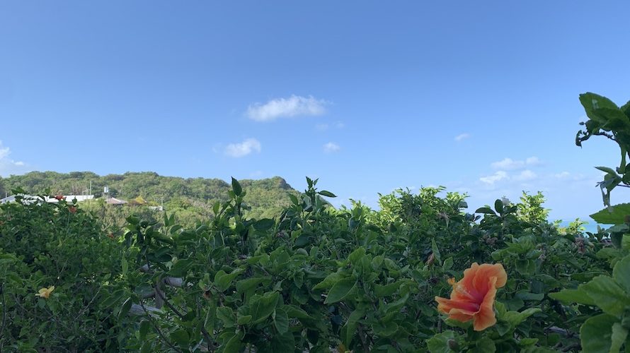 台風19号ハギビスを避けるように沖縄に行った話